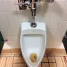 Burger King - condition of restrooms