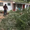 Florida Power & Light [FPL] - tree trimming