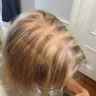 Supercuts - Highlights done by untrained stylist