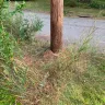 Georgia Power - Landscape damage at utility pole