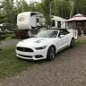 Ford - 2015 mustang gt premium