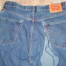 Levi Strauss & Co. - flawed pants