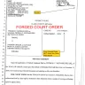 TCM Law Group - forged court order thomas michaelides las vegas