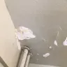 NYC Housing Authority [NYCHA] - Constant water damaged ceilings