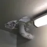 NYC Housing Authority [NYCHA] - Constant water damaged ceilings