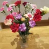 Lovely Flora World - Bouquet. Misguiding pictures