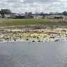 Sun Communities - Pond water level on the 13 hole riverside country club and marina , Ruskin fl