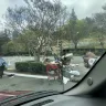 CVS - Unsanitary homeless encampment scaring children in cvs parking lot