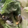 Wendy’s - Jalapeño Salad