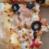 Domino's Pizza - Big bug baked into pizza topping