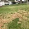 TruGreen - I would like a refund of all monies paid or my lawn to be returned the condition it was in before they destroyed it