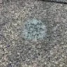 State Farm - Roof/Hail damage