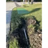 Florida Power & Light [FPL] - Damaged sprinkler system