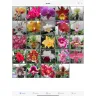 Orchid Album - My favorite app