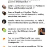 Nextdoor - Want nextdoor to stop harassing me & remove those attacking & reporting me off nextdoor