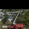 David Ousley’s Tree Service - Rental