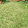 Scotts.com - chemically overtreated my new yard