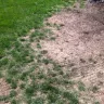 Scotts.com - ruined my lawn and mulch beds