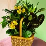 Progiftnet.com - Delivered a cheap arrangement