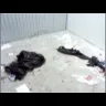 Life Storage - MASSIVE MICE DESTRUCTION