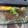 PetSmart - 37 gallon top fin fish tank