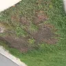 TruGreen - killed my sod after each spray