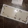 Morgan Properties - roach infestation, rude leasing agent, bullies, scam artist slumlords (king park plaza, hyattsville md)