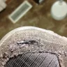 Skechers USA - defective seam in toe of shoe