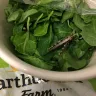 Costco - insect found in bag of greens