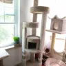 Petco - large cat trees