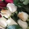 Costco - bad product-rotten roses