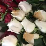 Costco - bad product-rotten roses