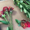 Costco - bad product-rotten roses