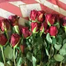 Costco - bad product-rotten roses