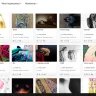 Behance - Violation of artistic freedoms