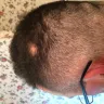 Supercuts - cut/ looks like a mower hit my head