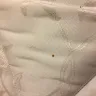 Motel 6 - dirty rooms & bed bugs