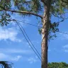 Florida Power & Light [FPL] - dangling power lines & frayed connections