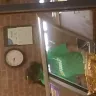 Subway - mold on tomatoes and rude employees