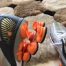 Nike - nike shox (shoes) are crumbling (peeling) and tearing apart.