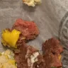 Steak 'n Shake - raw hamburger