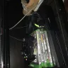 Letgo - I was robbed. stole my xbox one