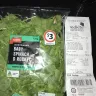 Coles Supermarkets Australia - baby spinach and rocket washed and ready to eat