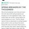 RIU Hotels & Resorts - riu republica spring break policy