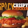 Burger King - spicy crispy chicken sandwich