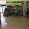 Dollar Tree - store conditions, customer service