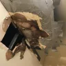 NYC Housing Authority [NYCHA] - ignored repairs